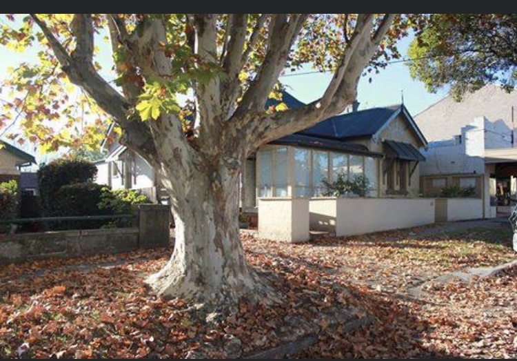 Camden Dental Surgery